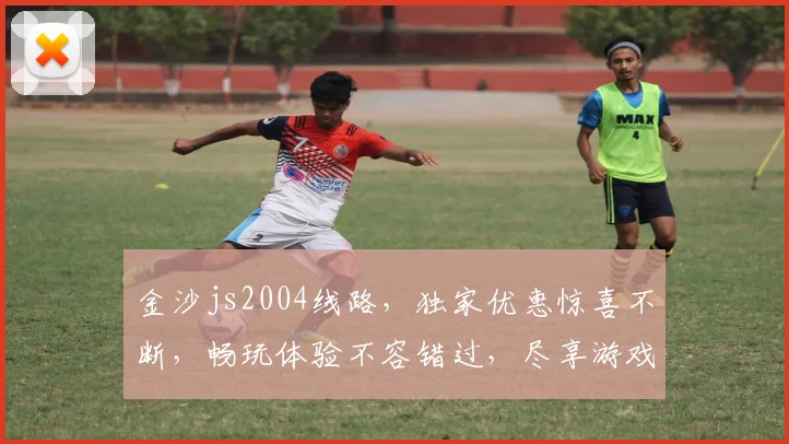 金沙js2004线路，独家优惠惊喜不断，畅玩体验不容错过，尽享游戏乐趣
