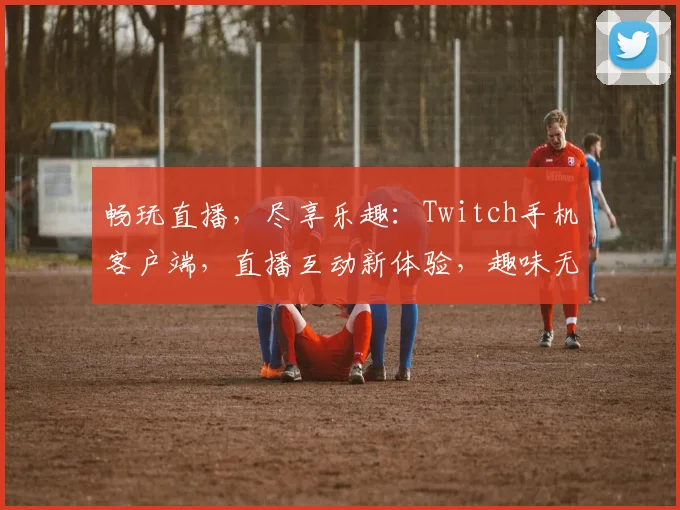 畅玩直播，尽享乐趣：Twitch手机客户端，直播互动新体验，趣味无限，精彩纷呈，快来加入吧