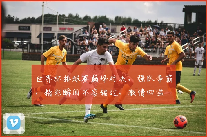 世界杯排球赛巅峰对决，强队争霸，精彩瞬间不容错过，激情四溢