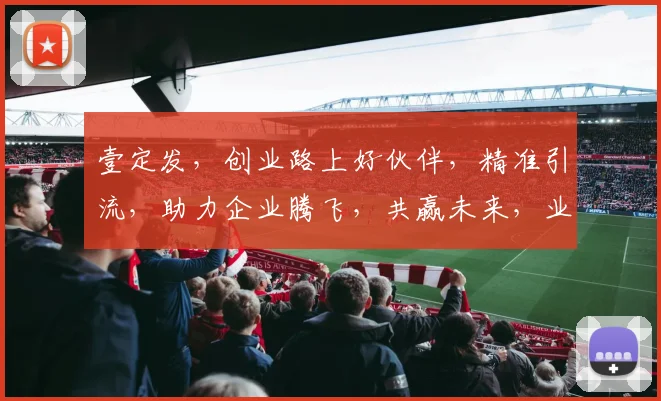 壹定发，创业路上好伙伴，精准引流，助力企业腾飞，共赢未来，业绩翻倍不是梦