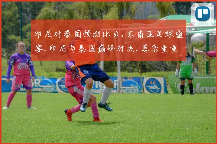 印尼对泰国预测比分,东南亚足球盛宴,印尼与泰国巅峰对决,悬念重重
