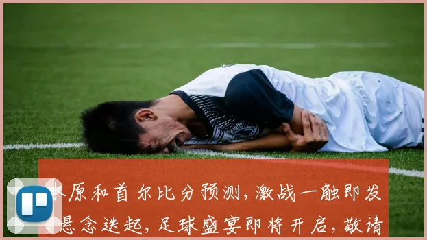 水原和首尔比分预测,激战一触即发,悬念迭起,足球盛宴即将开启,敬请期待
